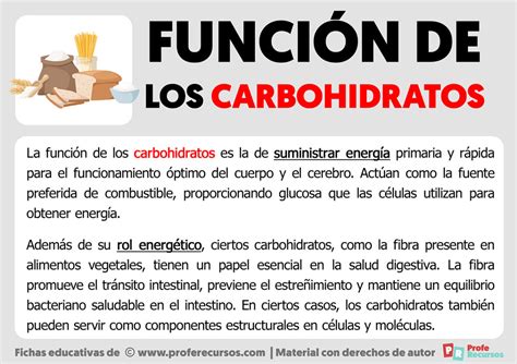 carbohidratos funcion - dieta baja en carbohidratos